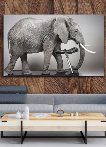 horizontal-wall-art-color-art-prints-Aluminum-17