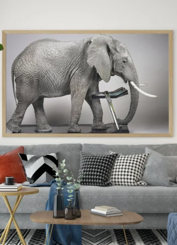 horizontal-wall-art-color-art-prints-main-17