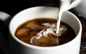 Dr Phil Coffee Weight Loss Recipe